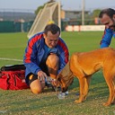 Urla Günlüğü: 9 Ekim 2018